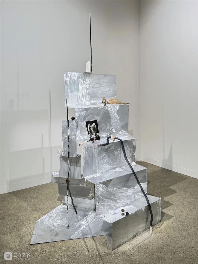 2025巴塞尔_动荡时代的定海针 | 国家美术·关注 | 巴塞尔 国家 美术 时代 艺术 现场 外景 ARTS 意象 疆界 崇真艺客